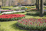 Ulrich simons - Keukenhof